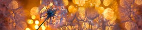 Кухонный фартук Мерцание Одуванчики золотистые 3 серебро в Балашихе - balashixa.katalogmebeli.com | фото